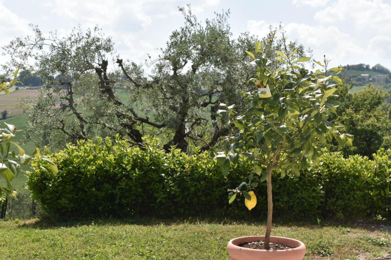 Casa Raffaela, Charming Villa With A Nice Pool Monte Giberto Exterior foto